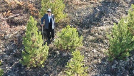 Giresunlu Cemal Emmi, 30 yıldır köyündeki atıl arazileri ağaçlandırıyor