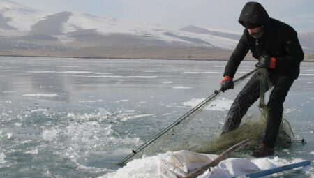 Çıldır Gölü’nde Eskimo usulü balık avı: Bırakılan ağlar toplanıyor