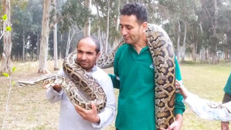 Mersin’deki parkta 12 yılan besleniyor… İki bakıcıyı gören inanamıyor